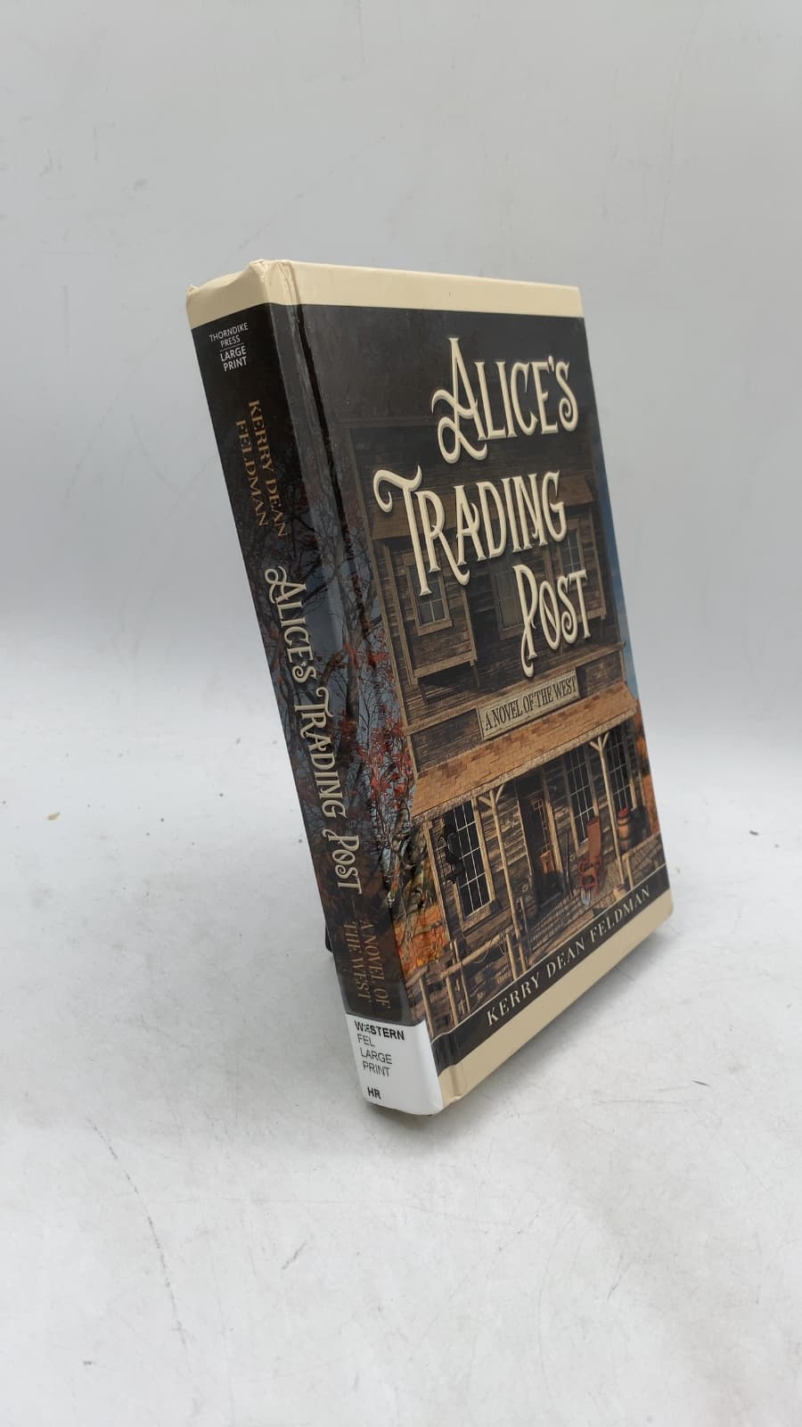Alice's Trading Post: A Novel of the West by Kerry Dean Feldman - front cover
