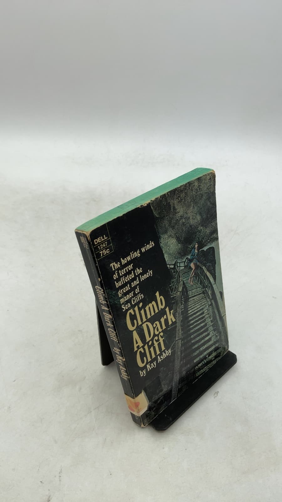 Climb A Dark Cliff by Kay Ashby - front cover
