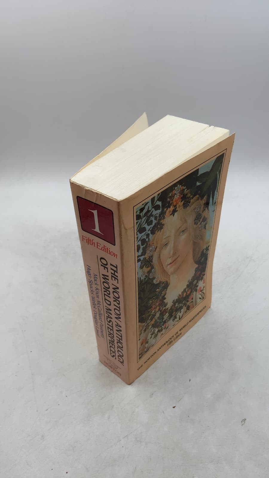 The Norton Anthology of World Masterpieces by Maynard Mack, Bernard M. W. Knox, John C. McGalliard, P. M. Pasinetti, Howard E. Hugo, Patricia Meyer Spacks, René Wellek, Kenneth Douglas, Sarah Lawall - front cover