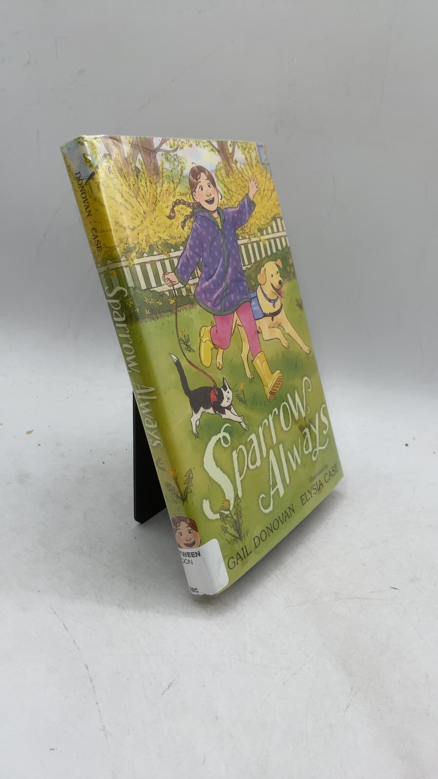 Sparrow Always by Gail Donovan - front cover