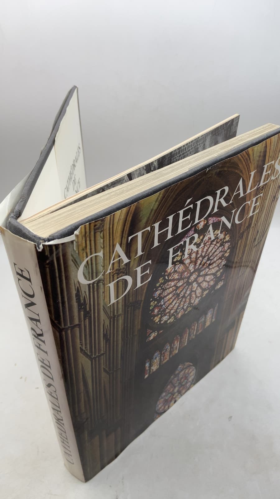 L'Epopée des Cathédrales by Zoé Oldenbourg - front cover