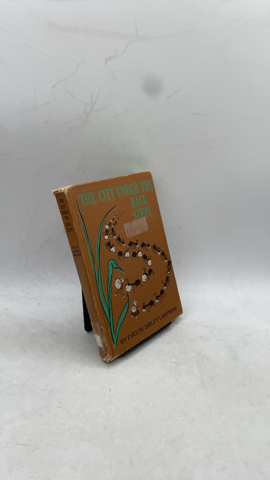 The City Under the Back Steps by Evelyn Sibley Lampman - front cover