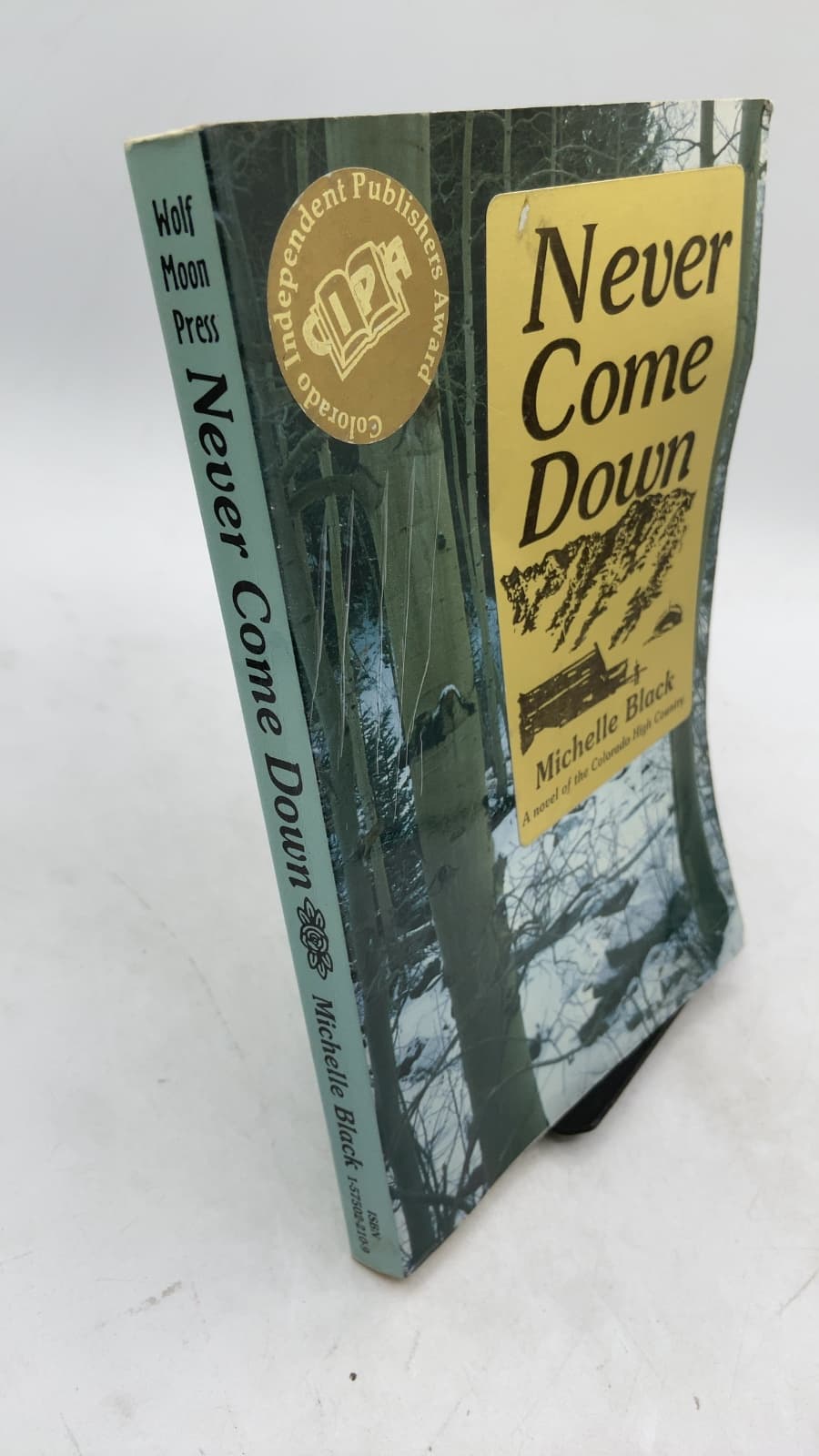 Never Come Down by Michelle Black - front cover