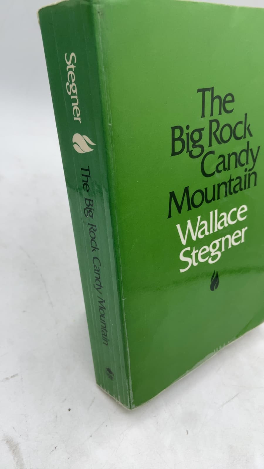 The Big Rock Candy Mountain by Wallace Stegner - front cover