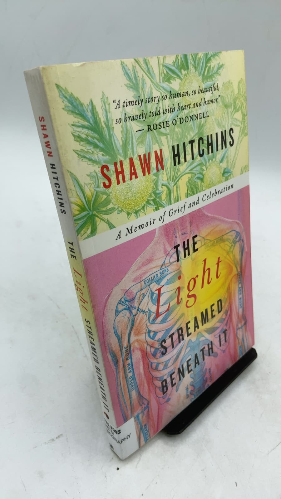 The Light Streamed Beneath It: A Memoir of Grief and Celebration by Shawn Hitchins - front cover