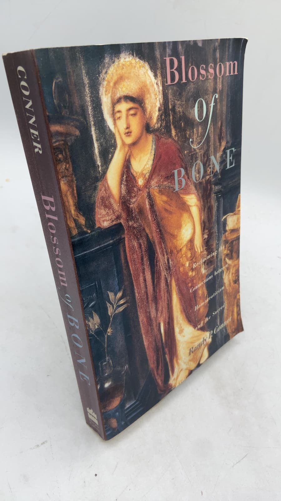 Blossom of Bone: Reclaiming the Connections Between Homoeroticism and the Sacred by Randy P. Conner - front cover