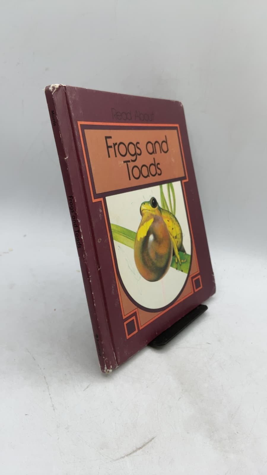 Frogs and Toads by Dean Morris - front cover