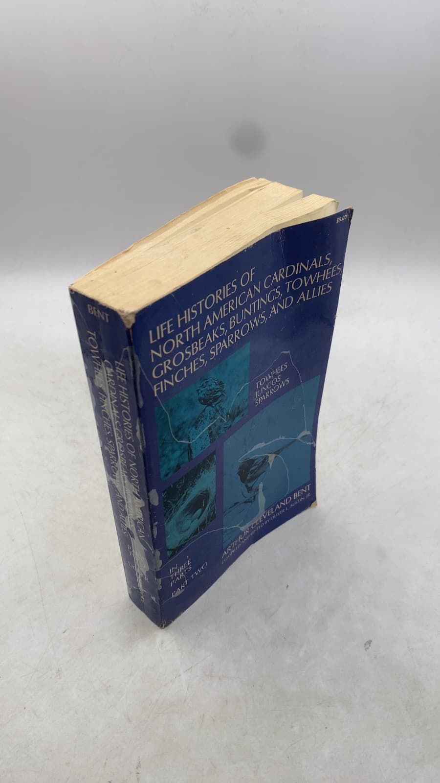 Life Histories of North American Cardinals, Grosbeaks, Buntings, Towhees, Finches, Sparrows, and Allies by Arthur Cleveland Bent and Collaborators - front cover