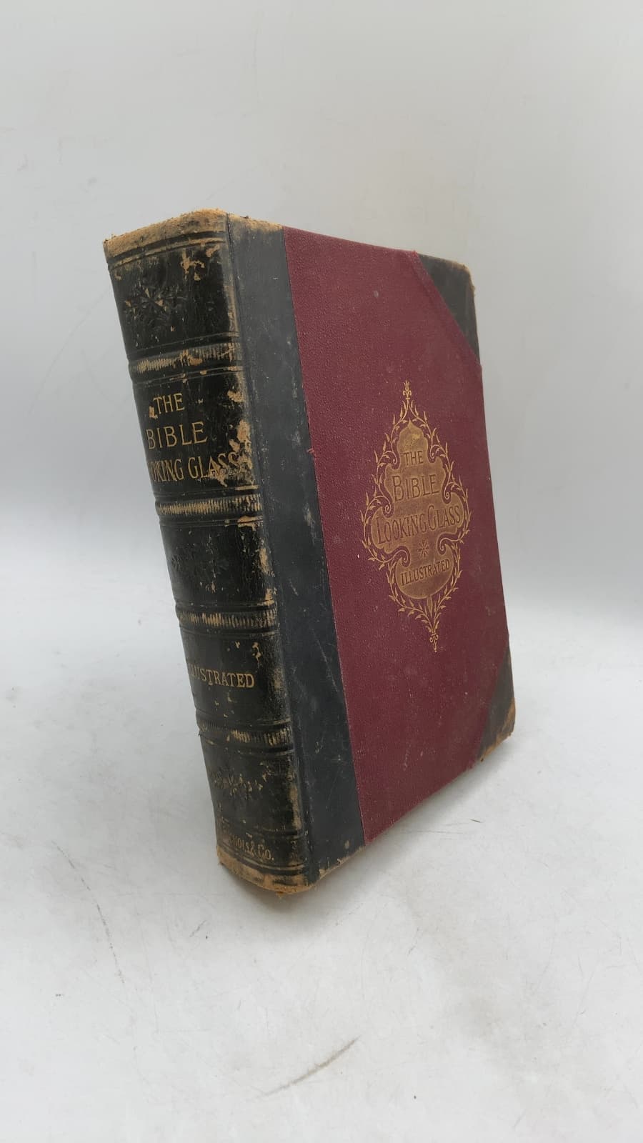 The Bible Looking Glass by John W. Barber, Bishop Samuel Fallows, and Others - front cover