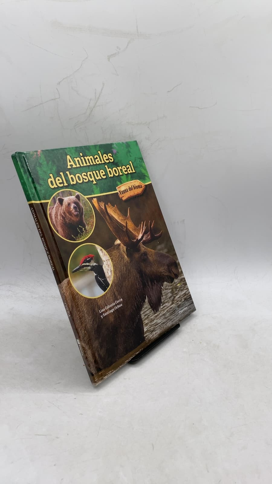 Animales del bosque boreal by Lisa Colozza Cocca y Santiago Ochoa - front cover