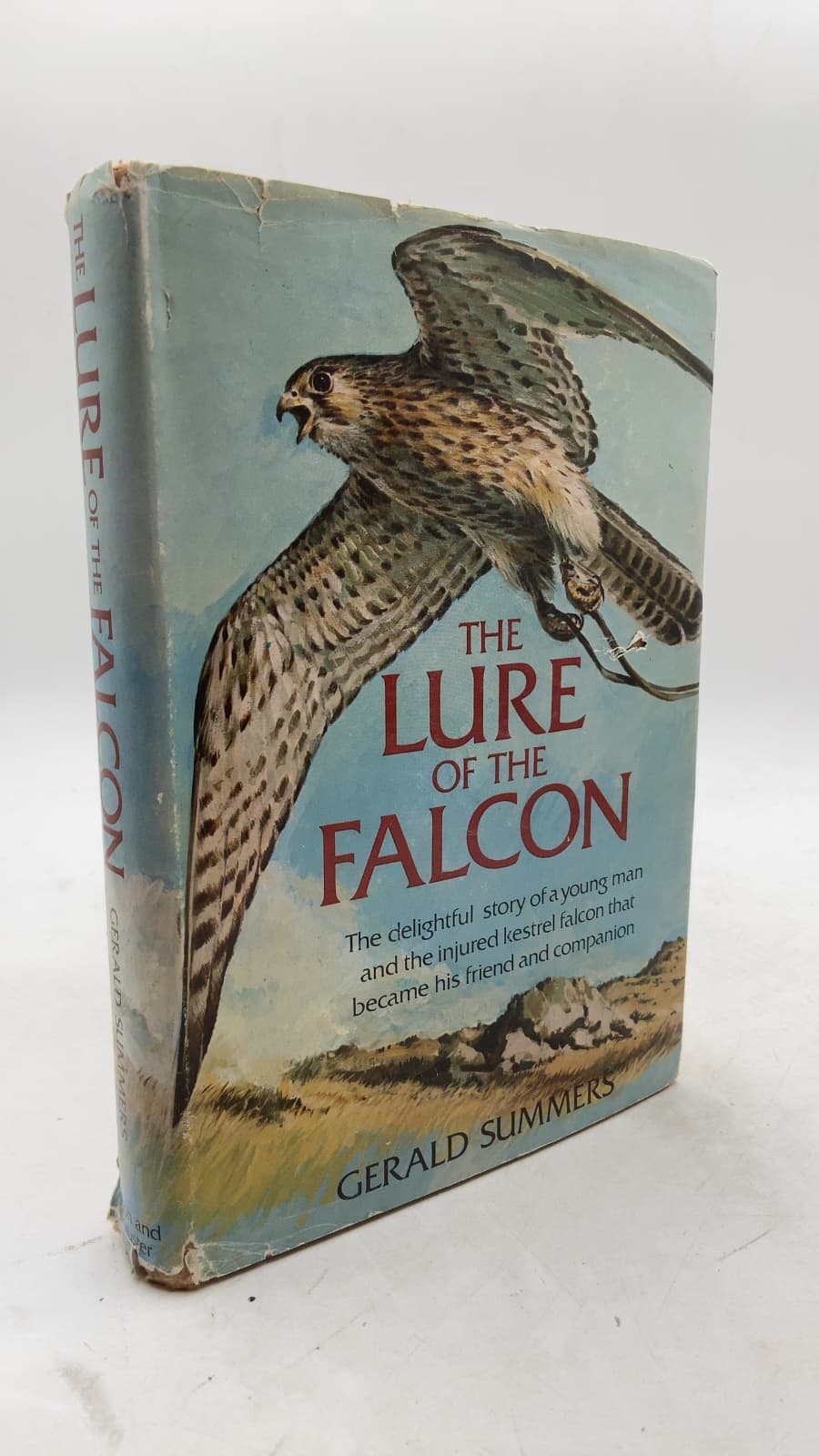 THE Lure OF THE Falcon by Gerald Summers - front cover