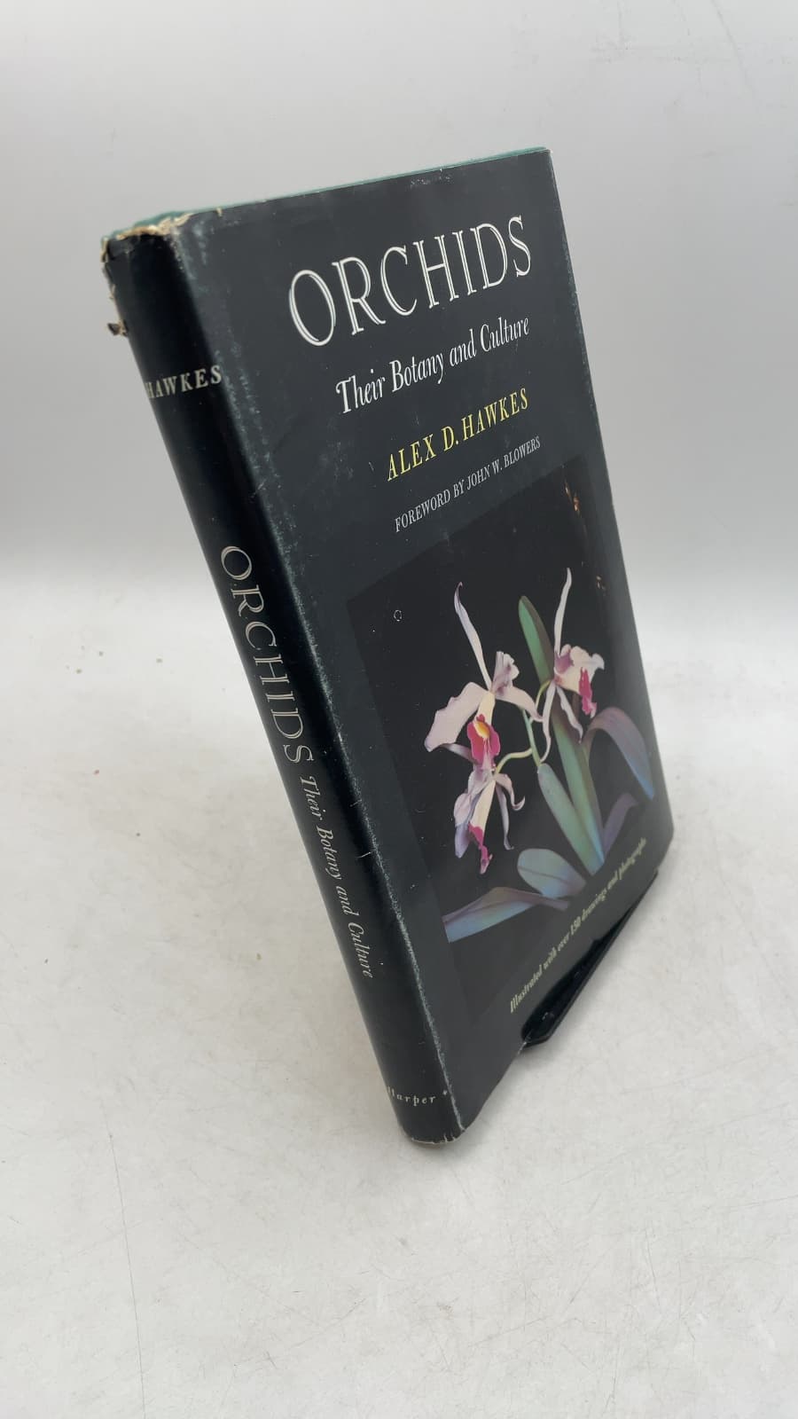 ORCHIDS Their Botany and Culture by Alex D. Hawkes - front cover
