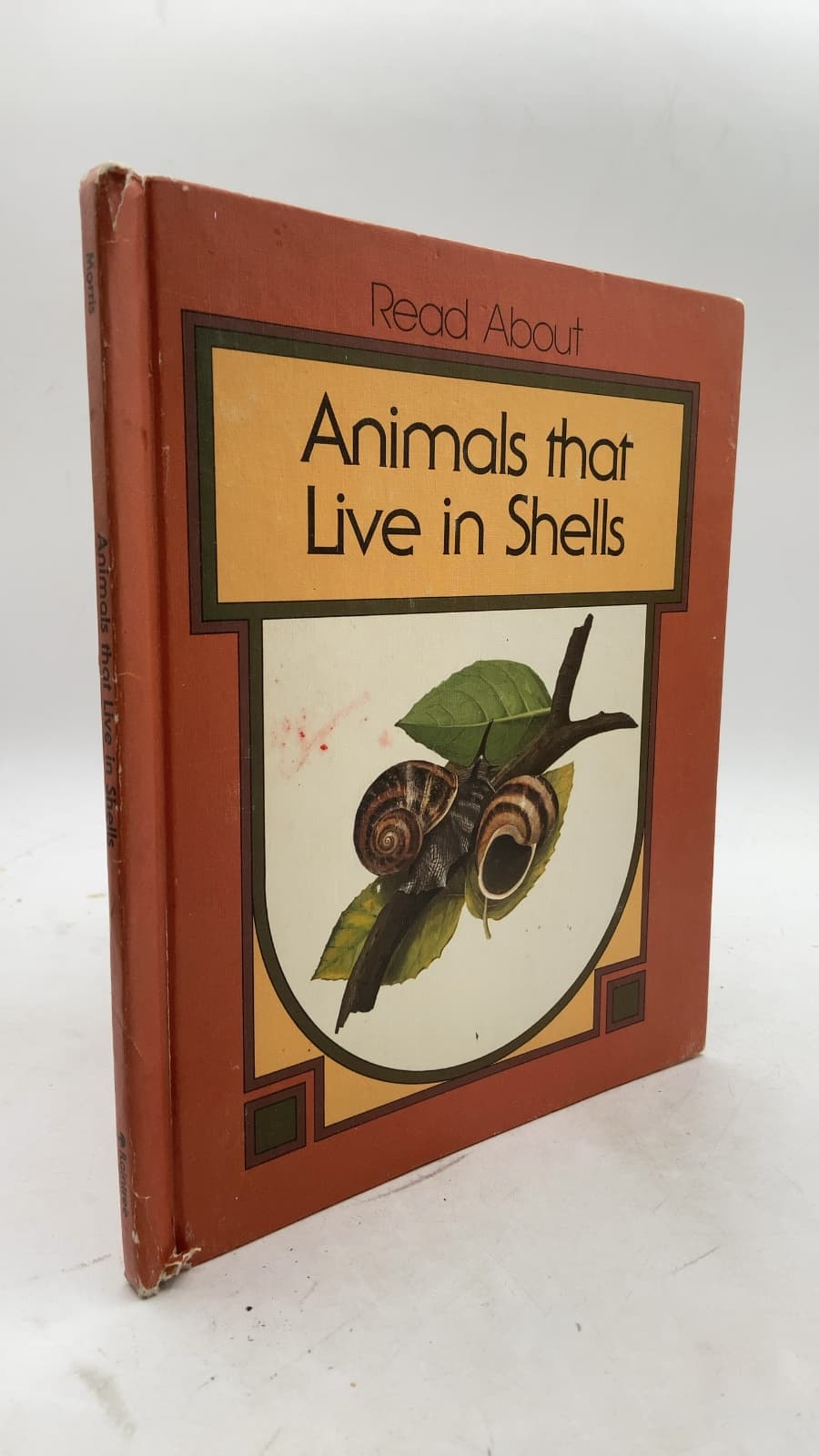 Animals that Live in Shells by Dean Morris - front cover