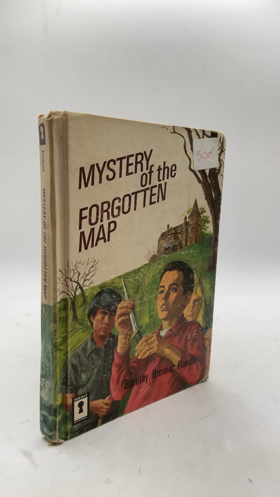 Mystery of the Forgotten Map by Dorothy Brenner Francis - front cover