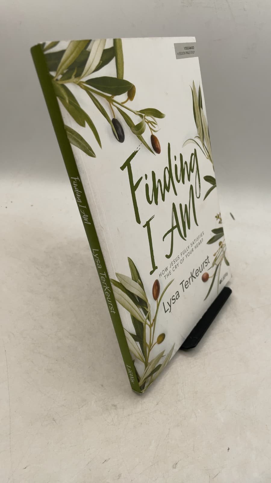 Finding I Am: How Jesus Fully Satisfies the Cry of Your Heart by Lysa TerKeurst - front cover