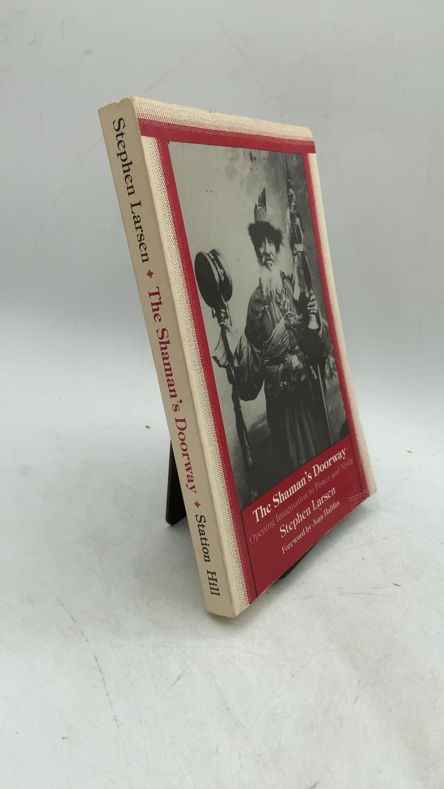The Shaman's Doorway: Opening Imagination to Power and Myth by Stephen Larsen - front cover