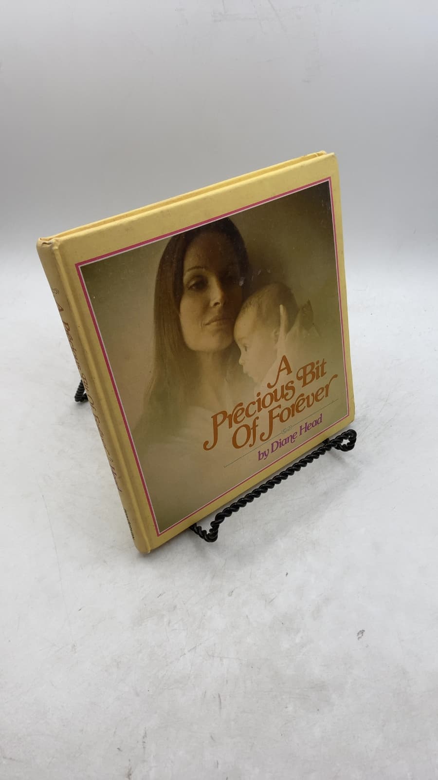 A Precious Bit of Forever by Diane Head - front cover