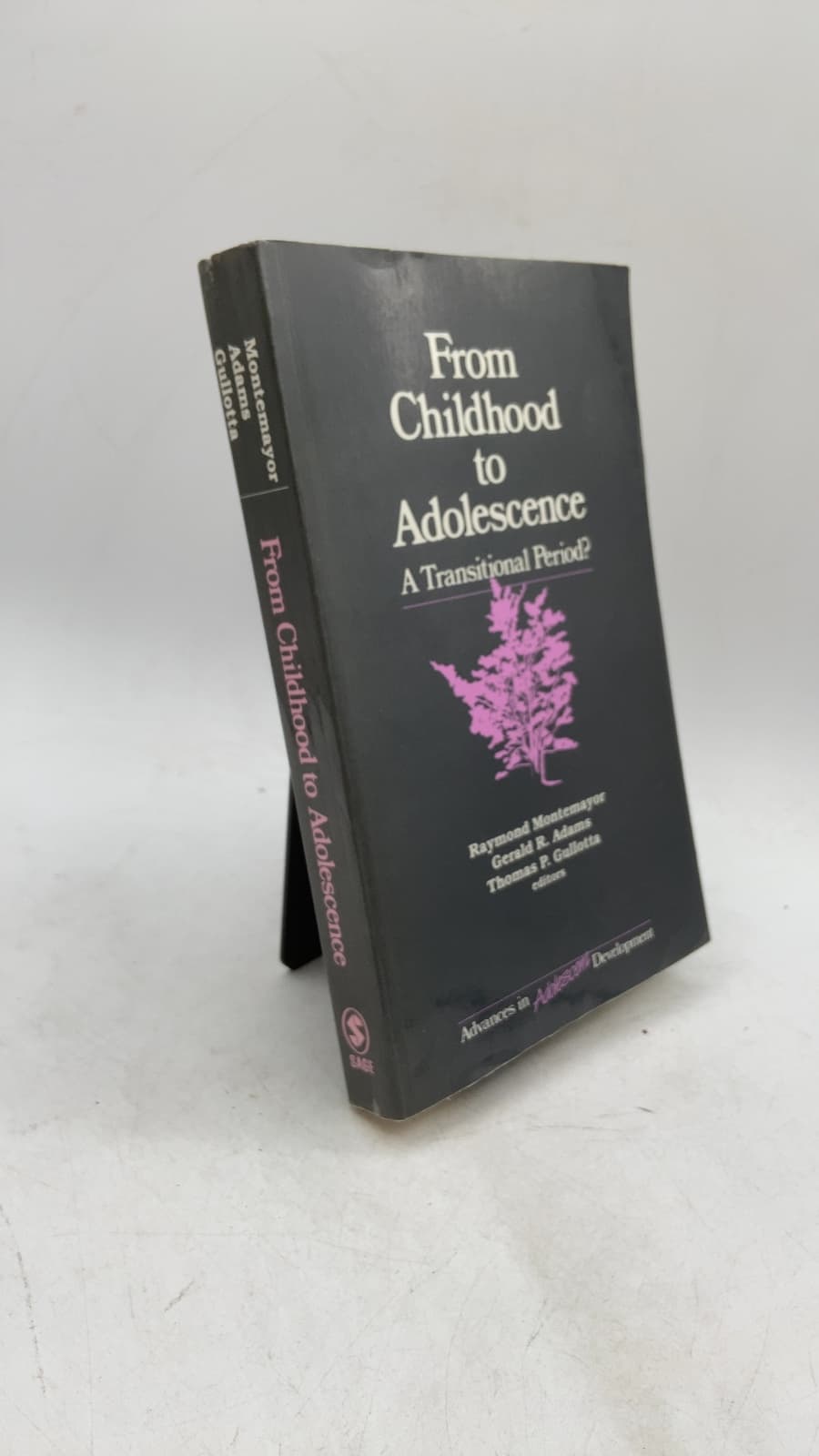 From Childhood to Adolescence: A Transitional Period? by Edited by Raymond Montemayor, Gerald R. Adams, Thomas P. Gullotta - front cover