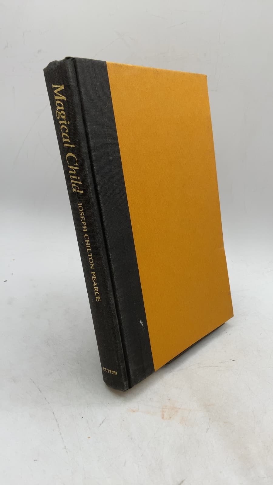Magical Child: Rediscovering Nature's Plan for Our Children by Joseph Chilton Pearce - front cover