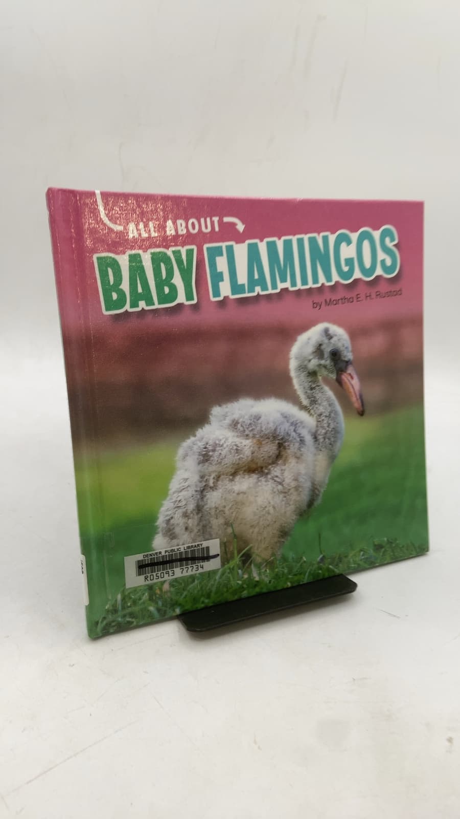 All About Baby Flamingos by Martha E. H. Rustad - front cover