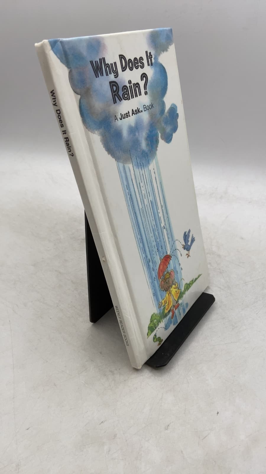 Why Does It Rain? A Just Ask Book by Chris Arvetis - front cover