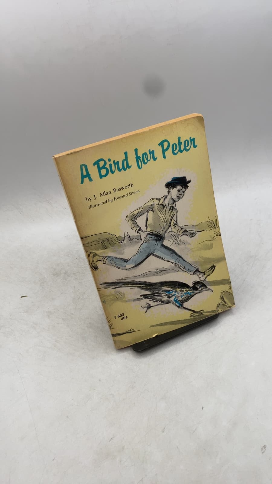 A Bird for Peter by J. Allan Bosworth - front cover