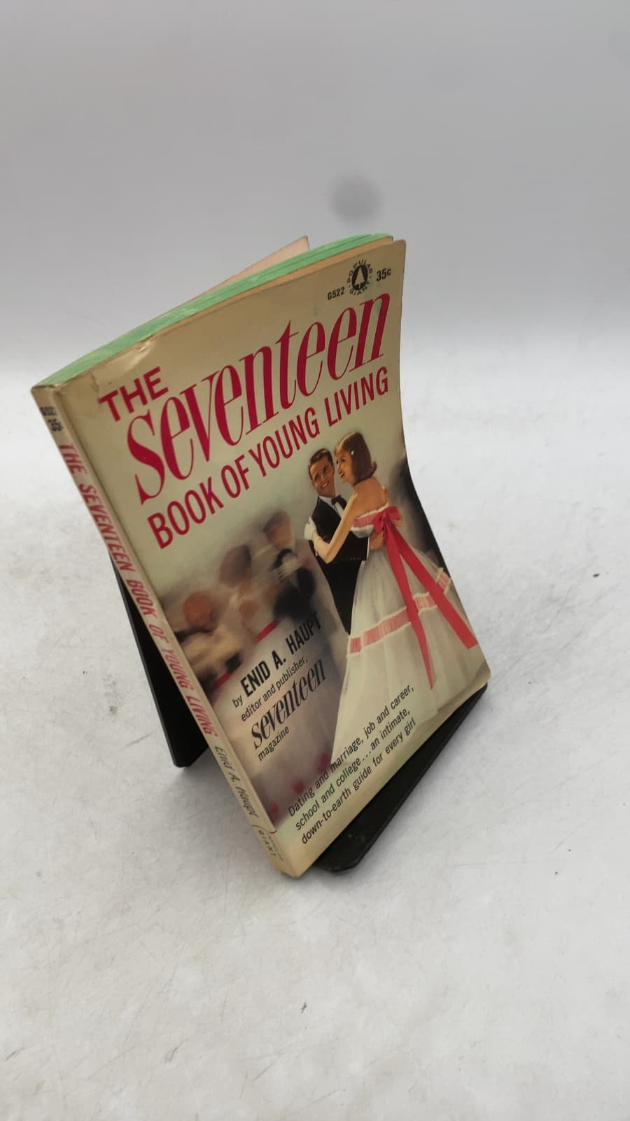 The Seventeen Book of Young Living by Enid A. Haupt - front cover