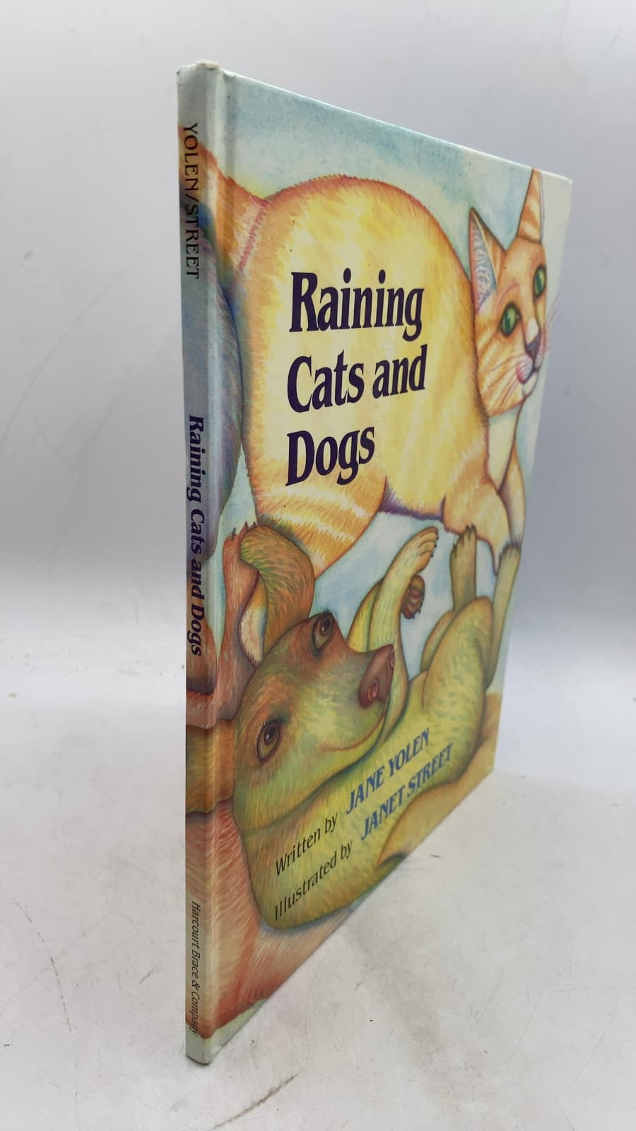 Raining Cats and Dogs by Jane Yolen - front cover