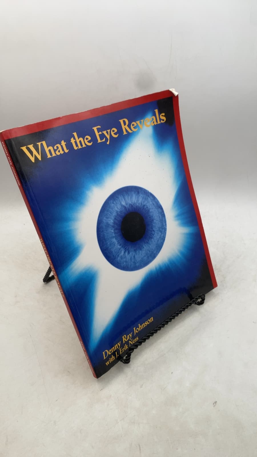 What the Eye Reveals by Denny Ray Johnson with J. Erik Ness - front cover