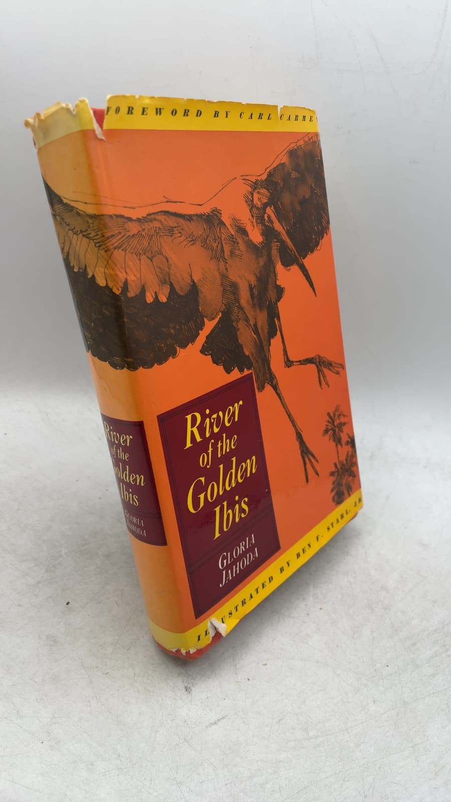 River of the Golden Ibis by Gloria Jahoda - front cover