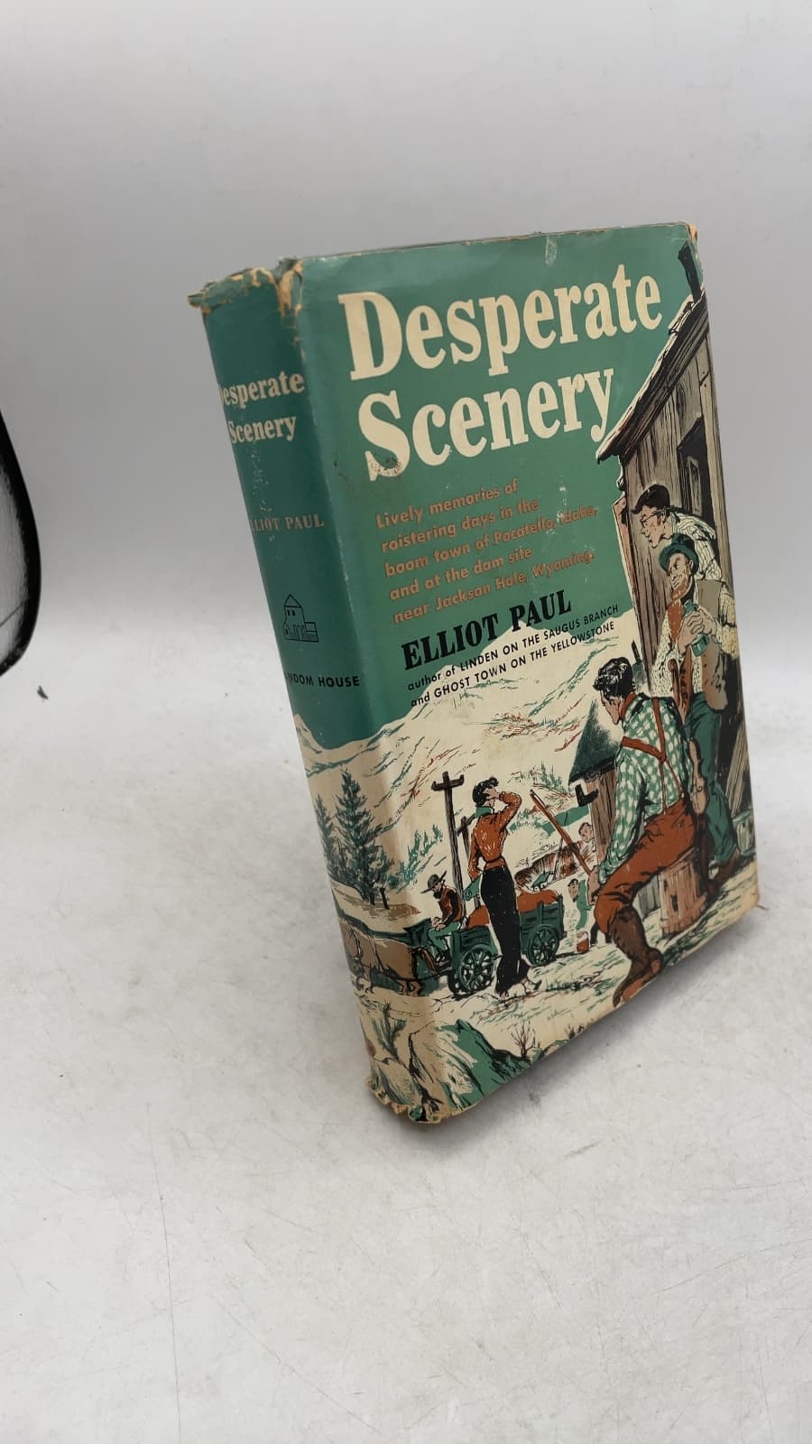 Desperate Scenery by Elliot Paul - front cover