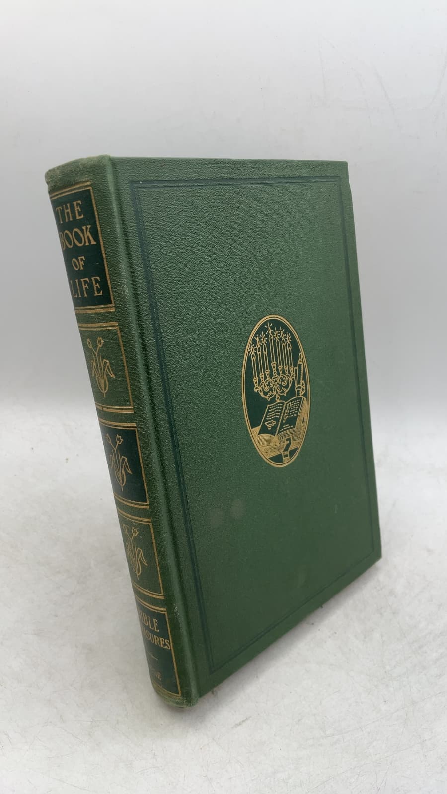 The Book of Life, Volume One: Bible Treasures by Newton Marshall Hall, A.M., D.D. and Irving Francis Wood, Ph.D., D.D. - front cover