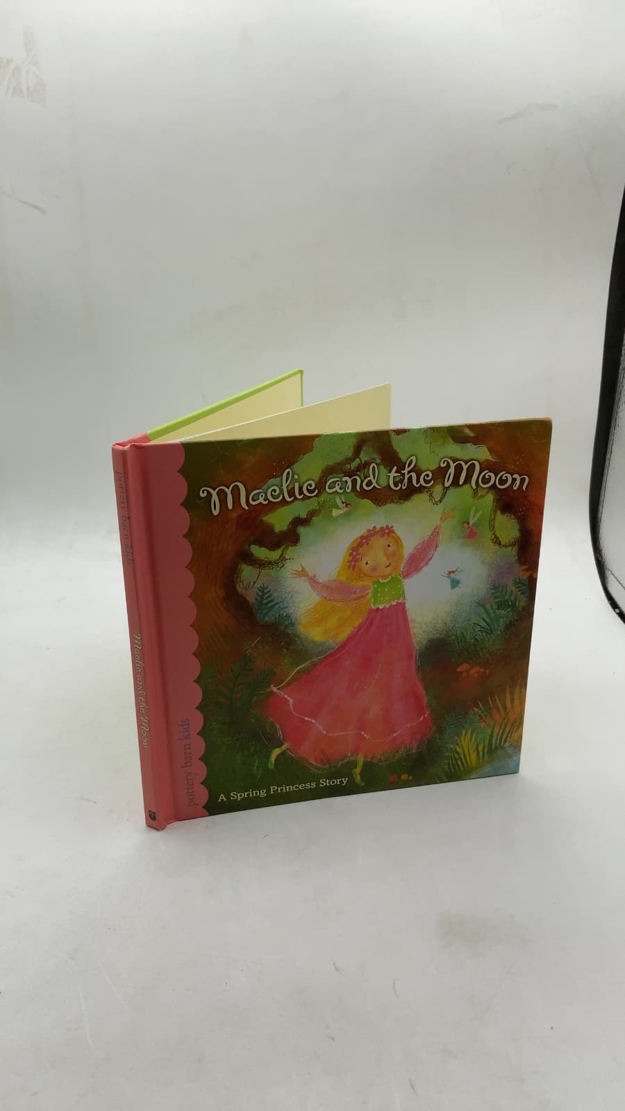 Maelic and the Moon by Andrea Colvin and Erika Kuster - front cover