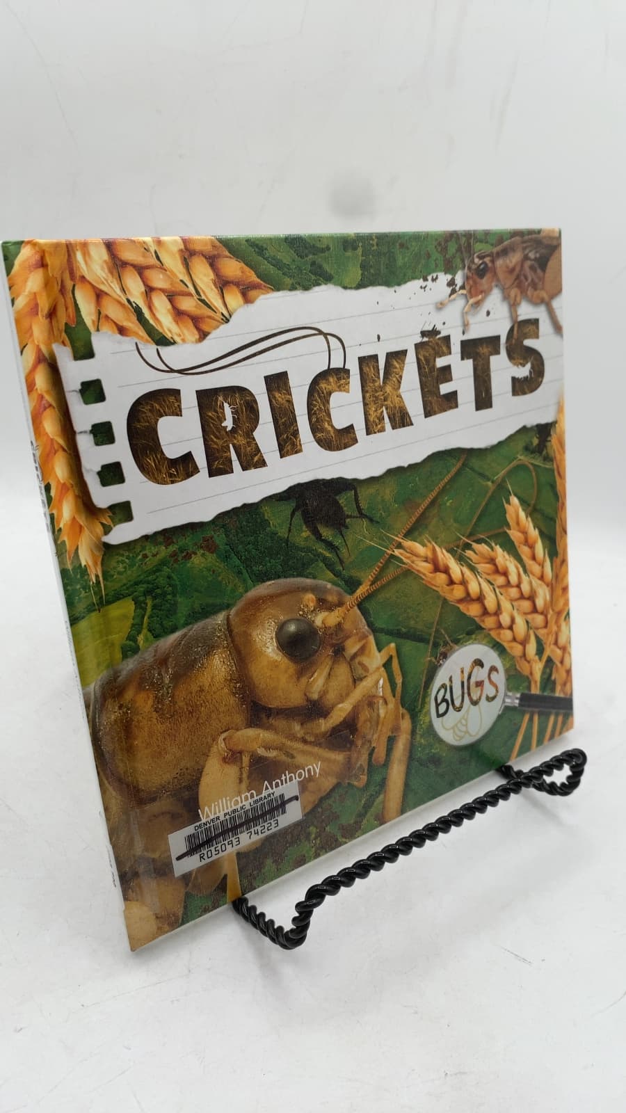 Crickets by William Anthony - front cover