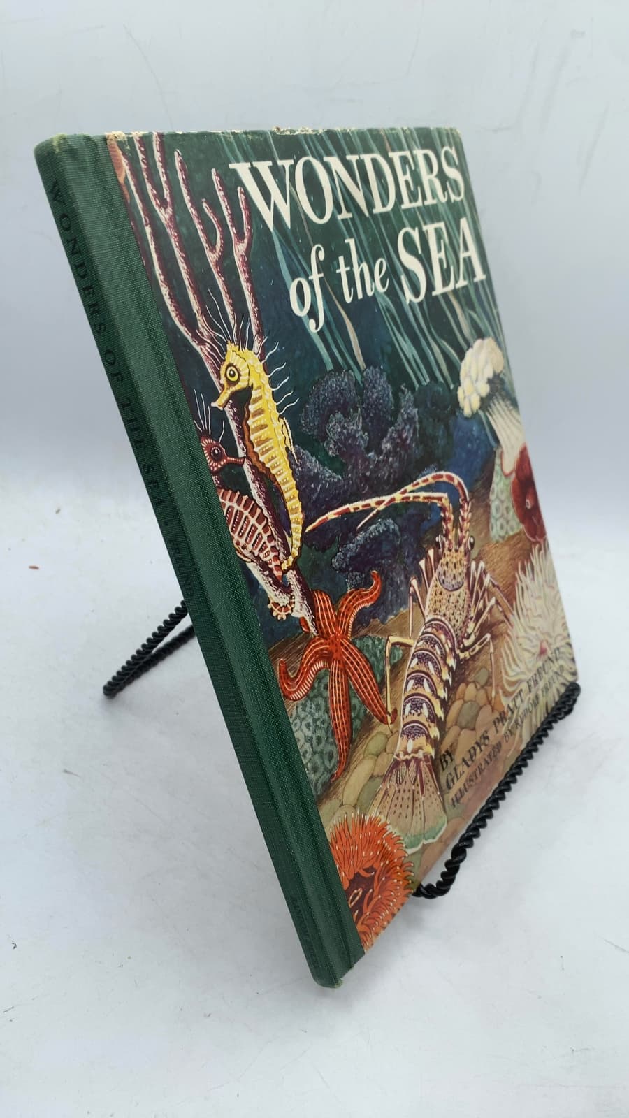 Wonders of the Sea by Gladys Pratt Freund - front cover