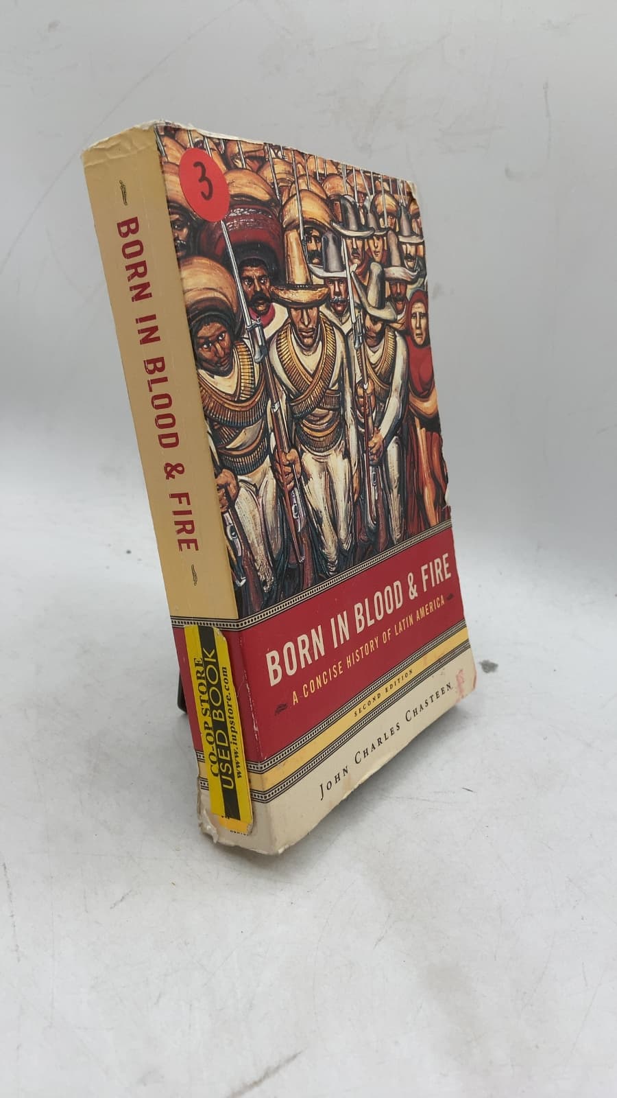 Born in Blood and Fire: A Concise History of Latin America by John Charles Chasteen - front cover