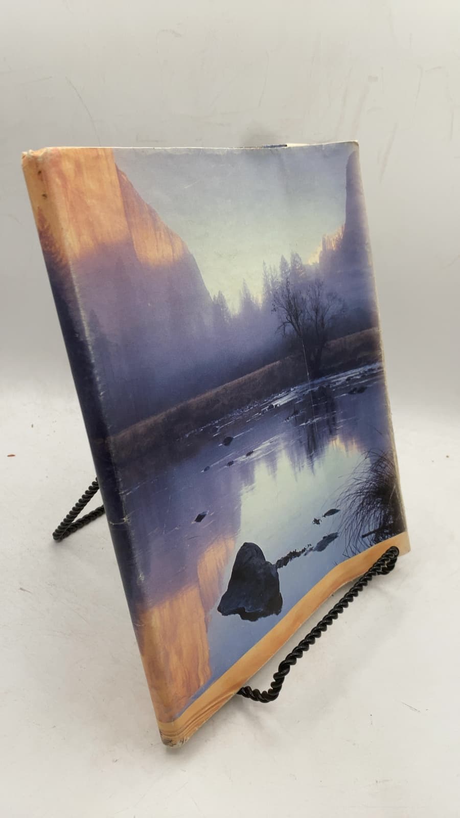 Experiments in General Chemistry by Harold Goldwhite, Wayne Tikkanen - front cover