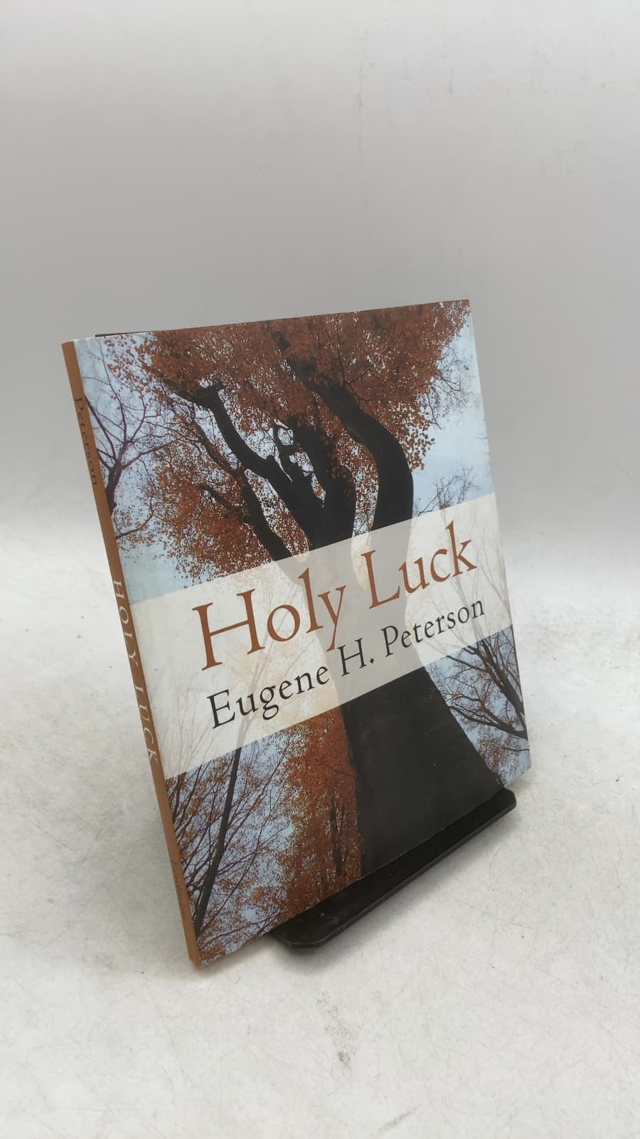 Holy Luck by Eugene H. Peterson - front cover