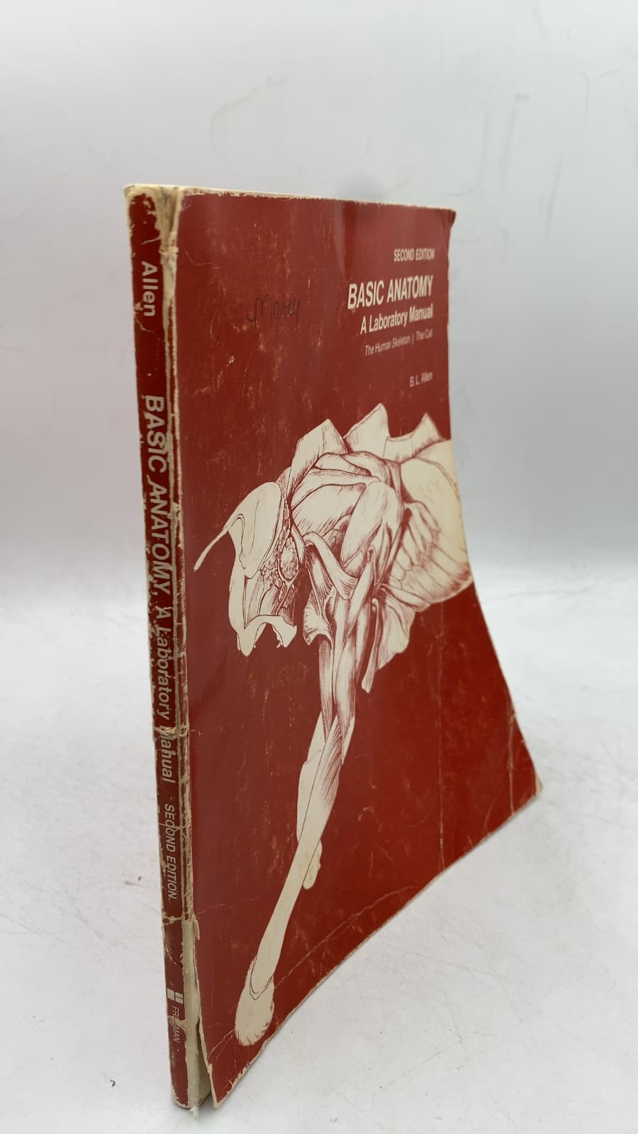 Basic Anatomy: A Laboratory Manual: The Human Skeleton | The Cat by B. L. Allen - front cover
