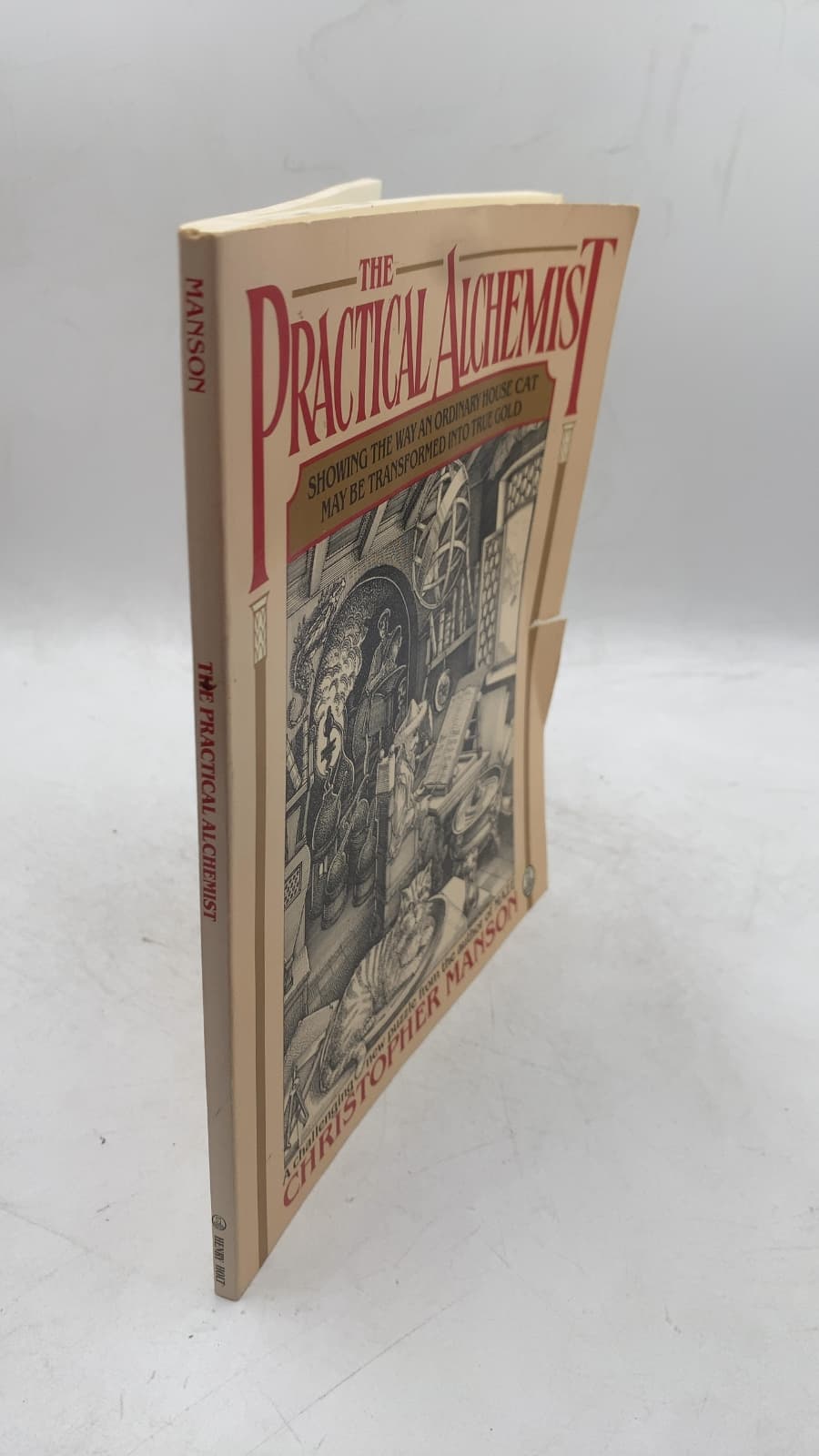 The Practical Alchemist: Showing the way an ordinary house cat may be transformed into true gold by Christopher Manson - front cover