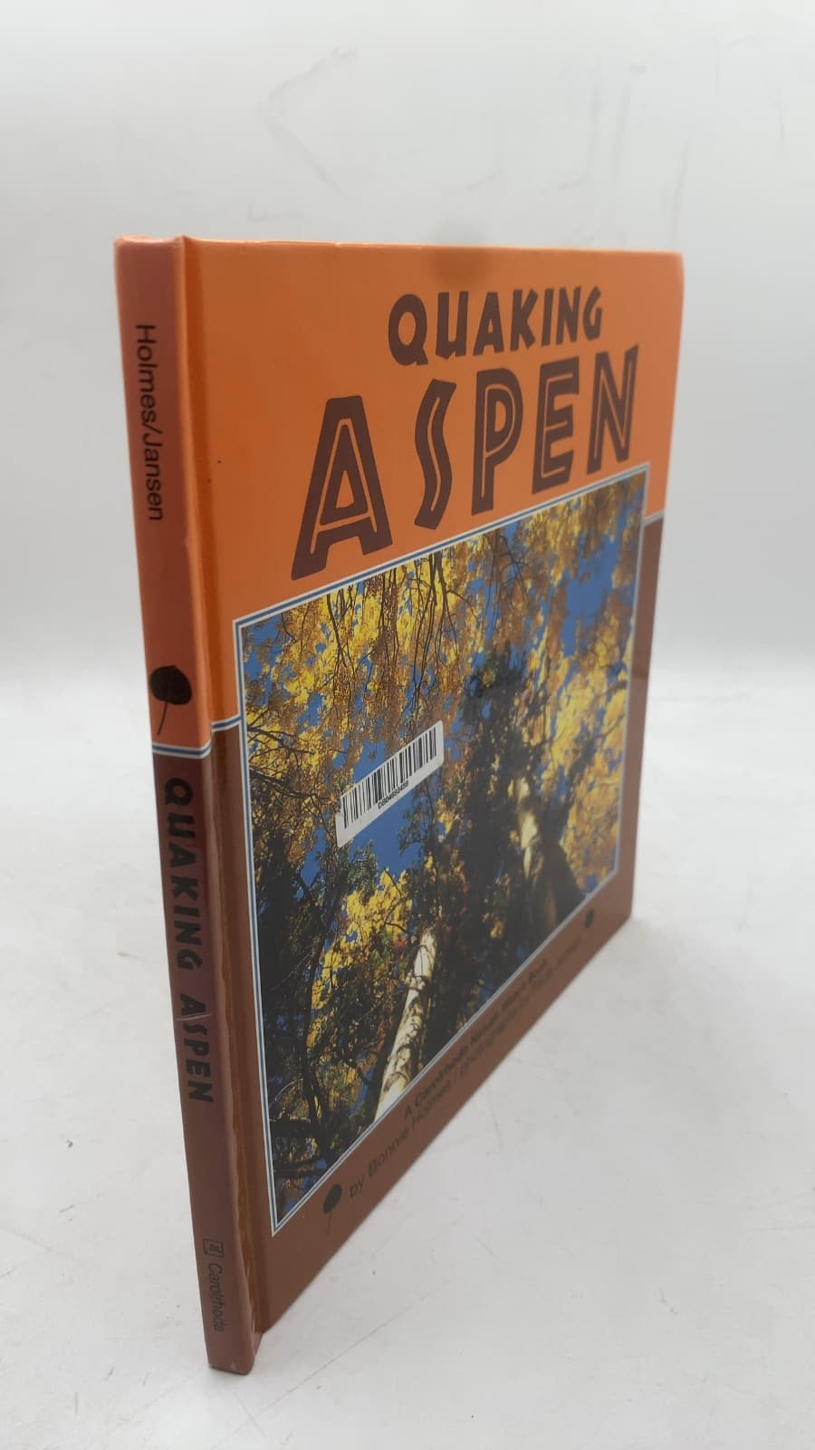 Quaking Aspen by Bonnie Holmes - front cover