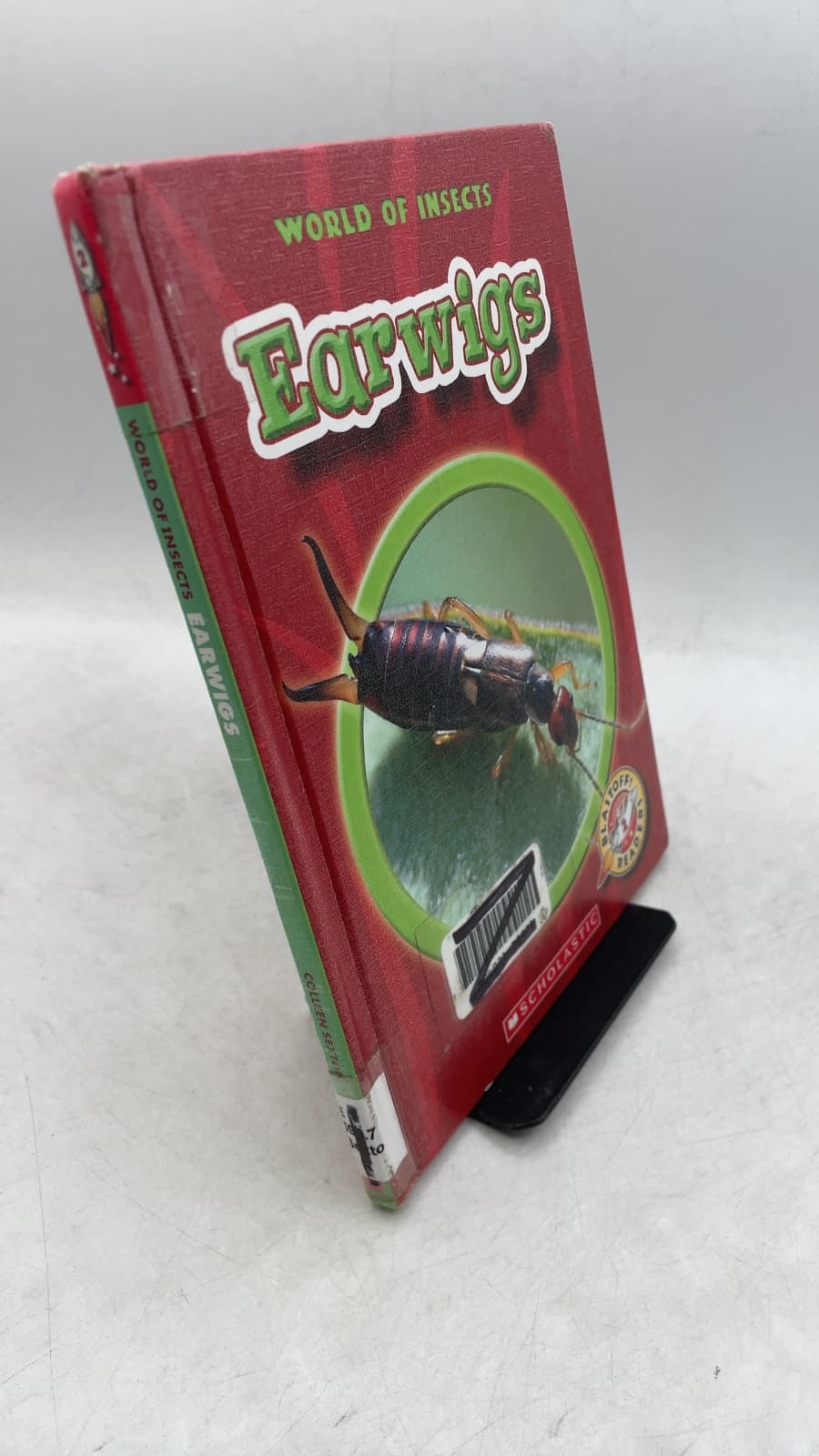 Earwigs by Colleen Sexton - front cover
