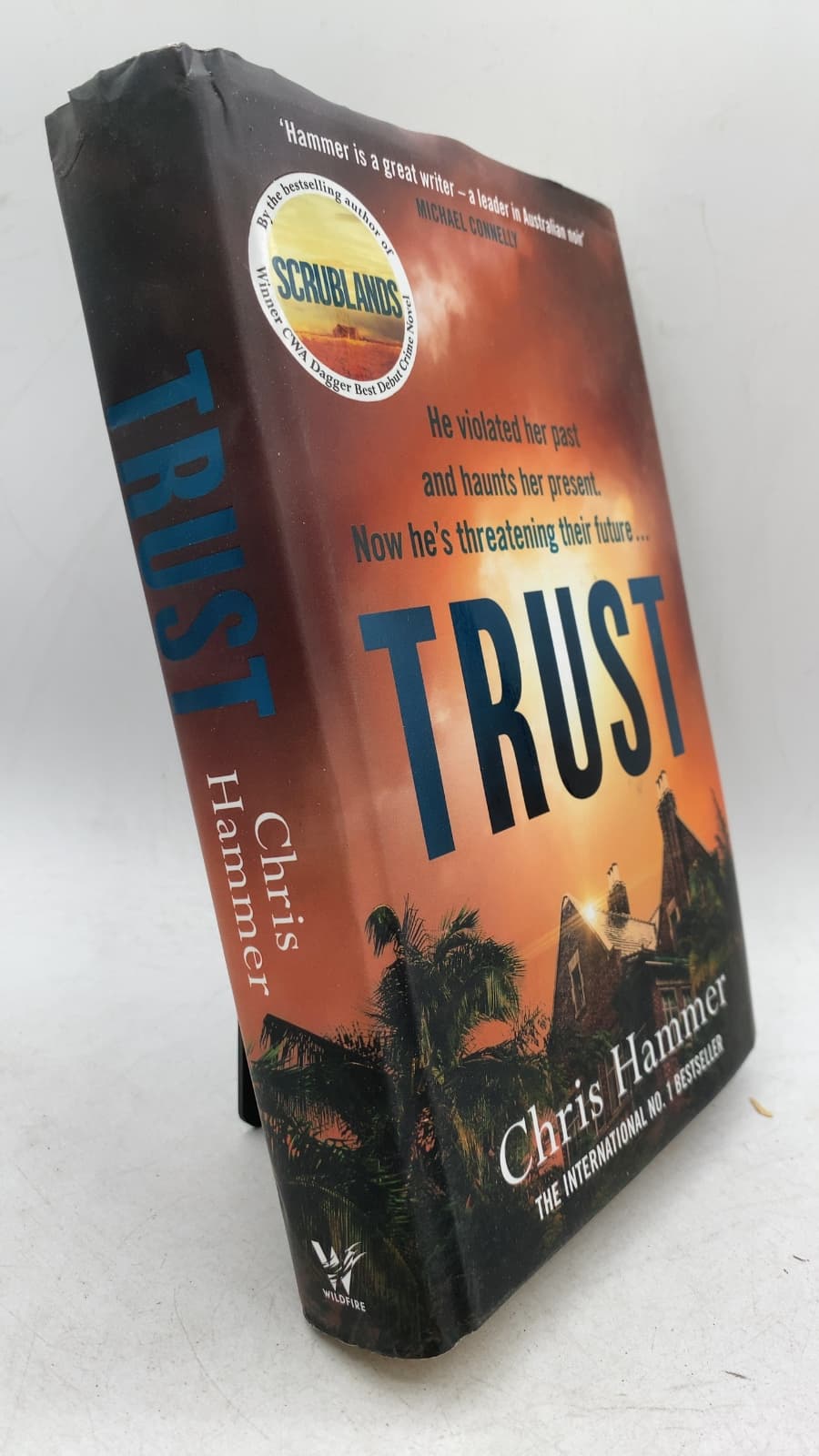 Trust by Chris Hammer - front cover