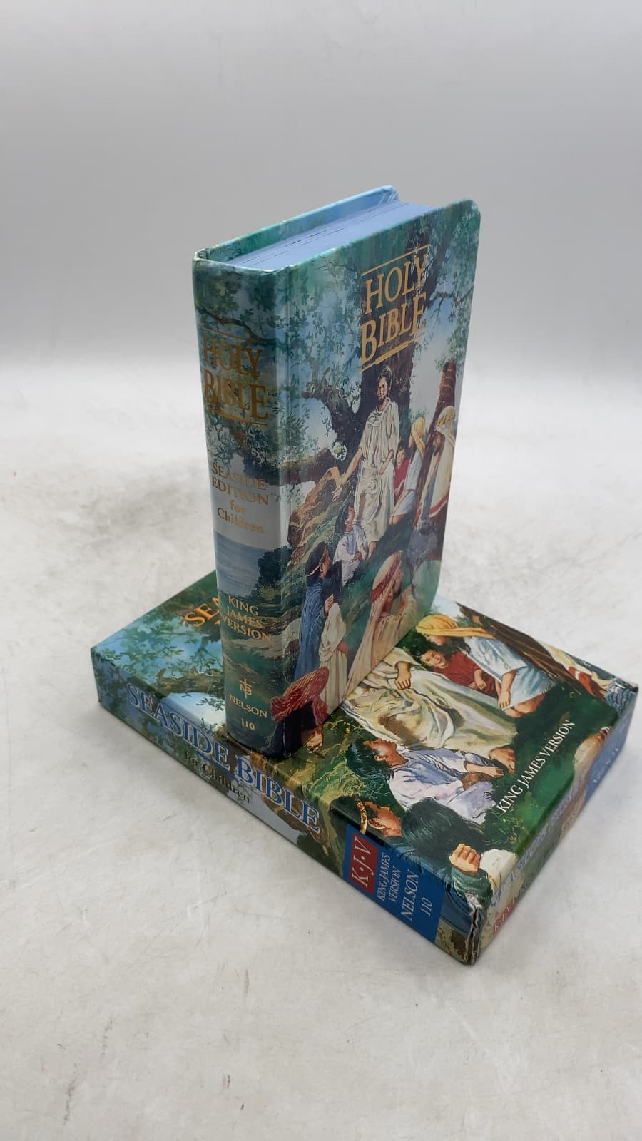 The Holy Bible: Old and New Testaments in the King James Version by Charles McBarron (Illustrator) - front cover