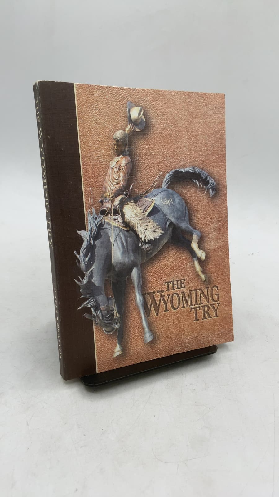 The Wyoming Try by Tami Watts, Megan Bratton - front cover